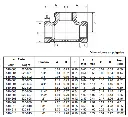TEE GALVANIZADA ROSCADA.webp