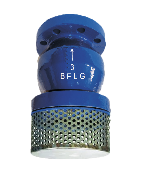 VÁLVULA CHECK PICHANCHA BRIDADA HIERRO DÚCTIL 12 PULGADAS CLASE 150