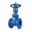 VÁLVULA COMPUERTA VÁSTAGO SALIENTE CLASE 125 ORING 8 PULGADAS