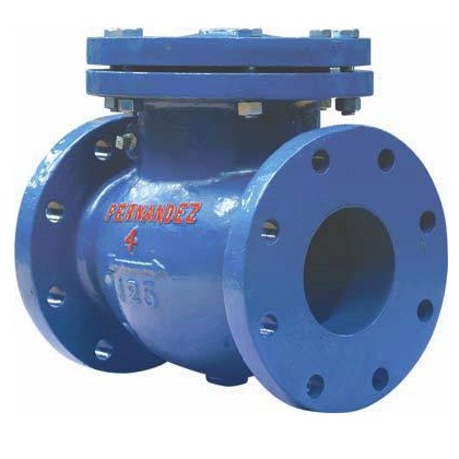 [VCC.FB2.100] VÁLVULA CHECK COLUMPIO FOFO BRIDADA 4 PULGADAS